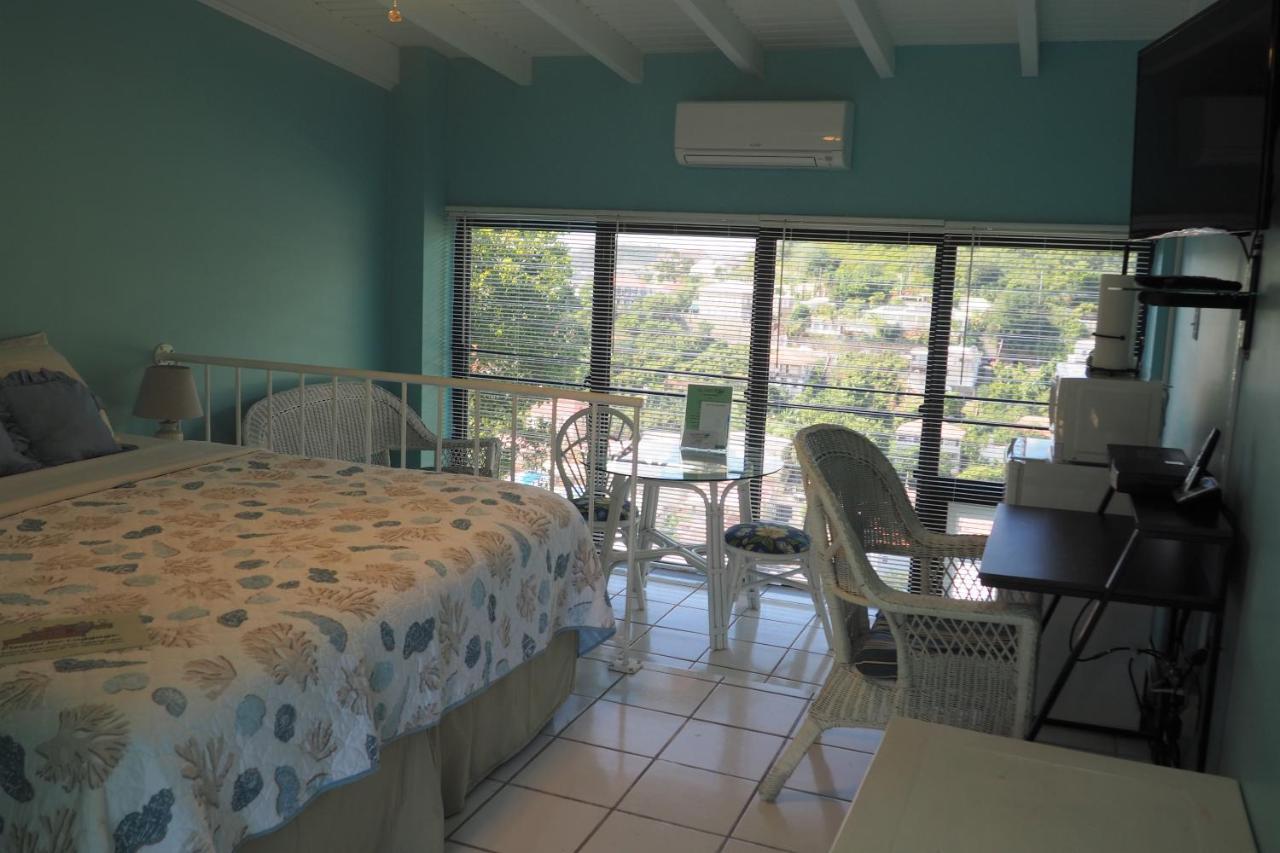 The Green Iguana Hotel Charlotte Amalie Exterior photo