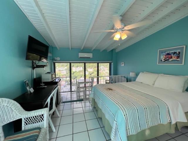 The Green Iguana Hotel Charlotte Amalie Exterior photo